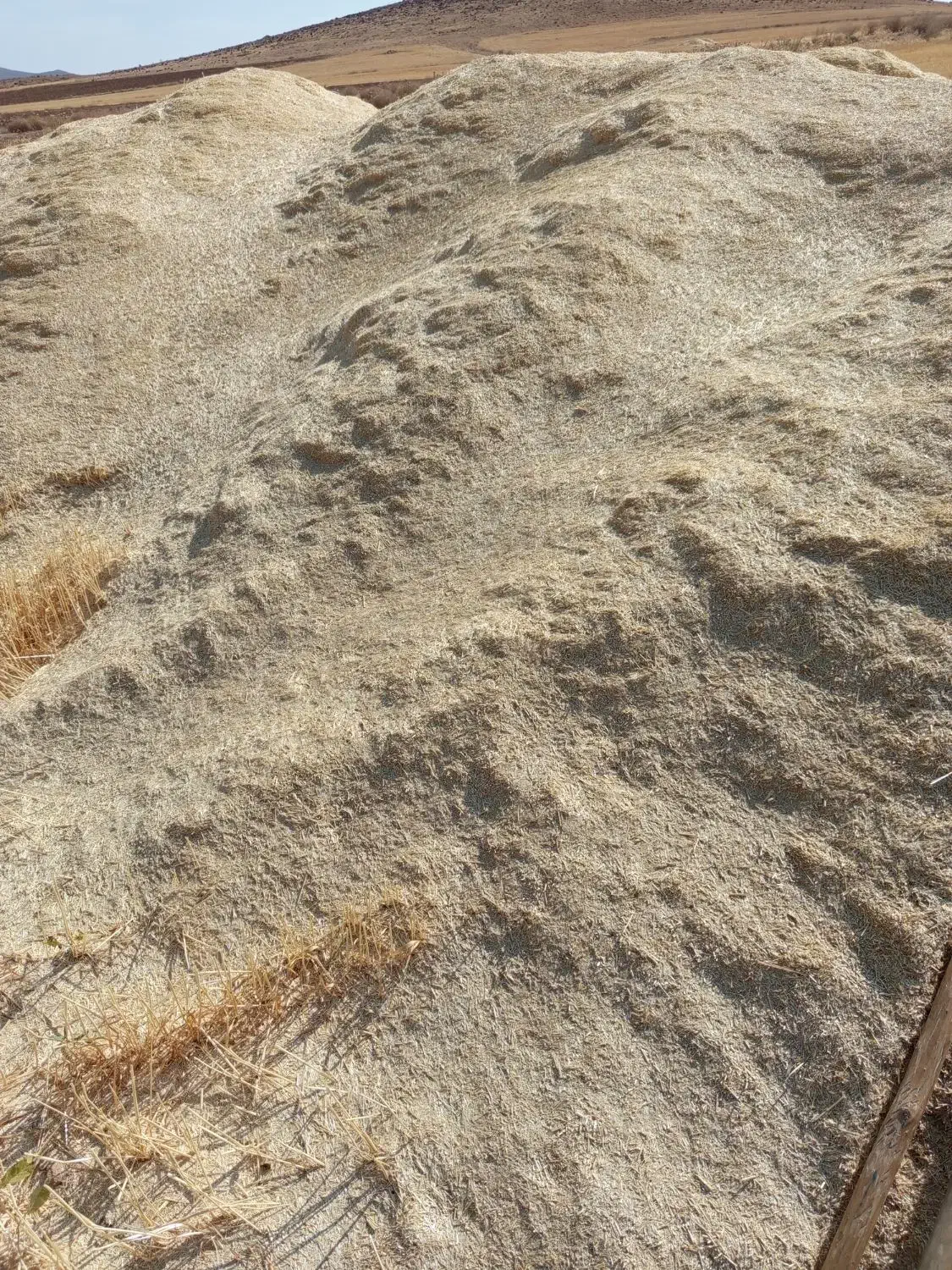 کاه‌گندم‌دیم|لوازم جانبی حیوانات|گل تپه, |دیوار