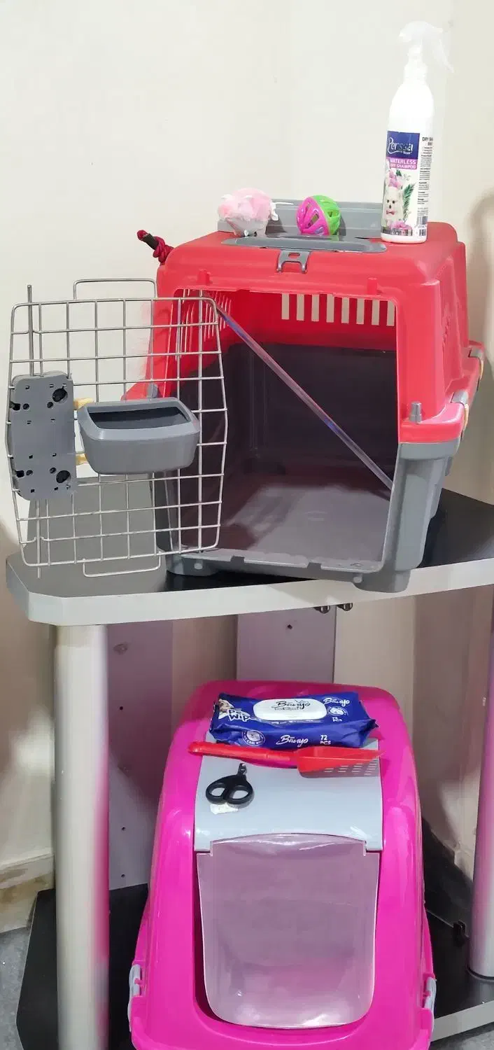 لوازم و باکس های گربه تکمیل|لوازم جانبی حیوانات|تهران, افسریه شمالی|دیوار