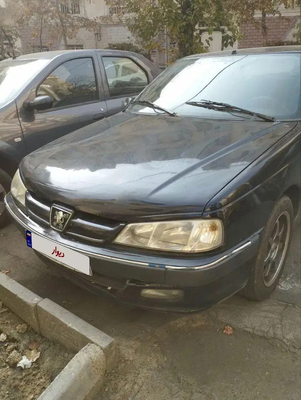 پرشیا مدل ۸۱|خودرو سواری و وانت|تهران, پاسداران|دیوار