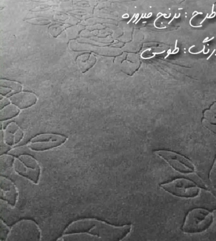 موکت|موکت|ورامین, ورامین|دیوار