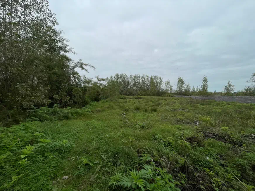 ویلایی کلنگی روستای المان|فروش زمین و ملک کلنگی|رشت, بلوار گیلان|دیوار