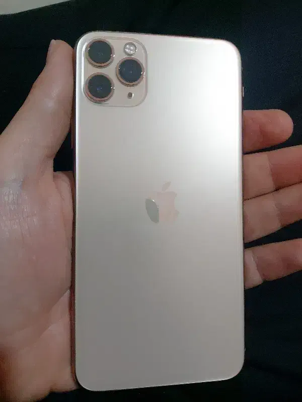 آیفون ۱۱ پرومکس|موبایل|اردبیل, |دیوار