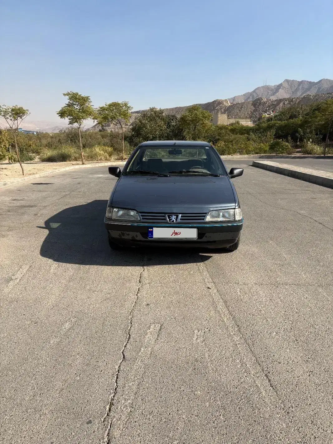 ۴۰۵|خودرو سواری و وانت|ری, دولت‌آباد|دیوار