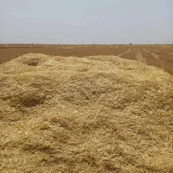 کاه و یونجه  فروشی|حیوانات مزرعه|تکاب, |دیوار