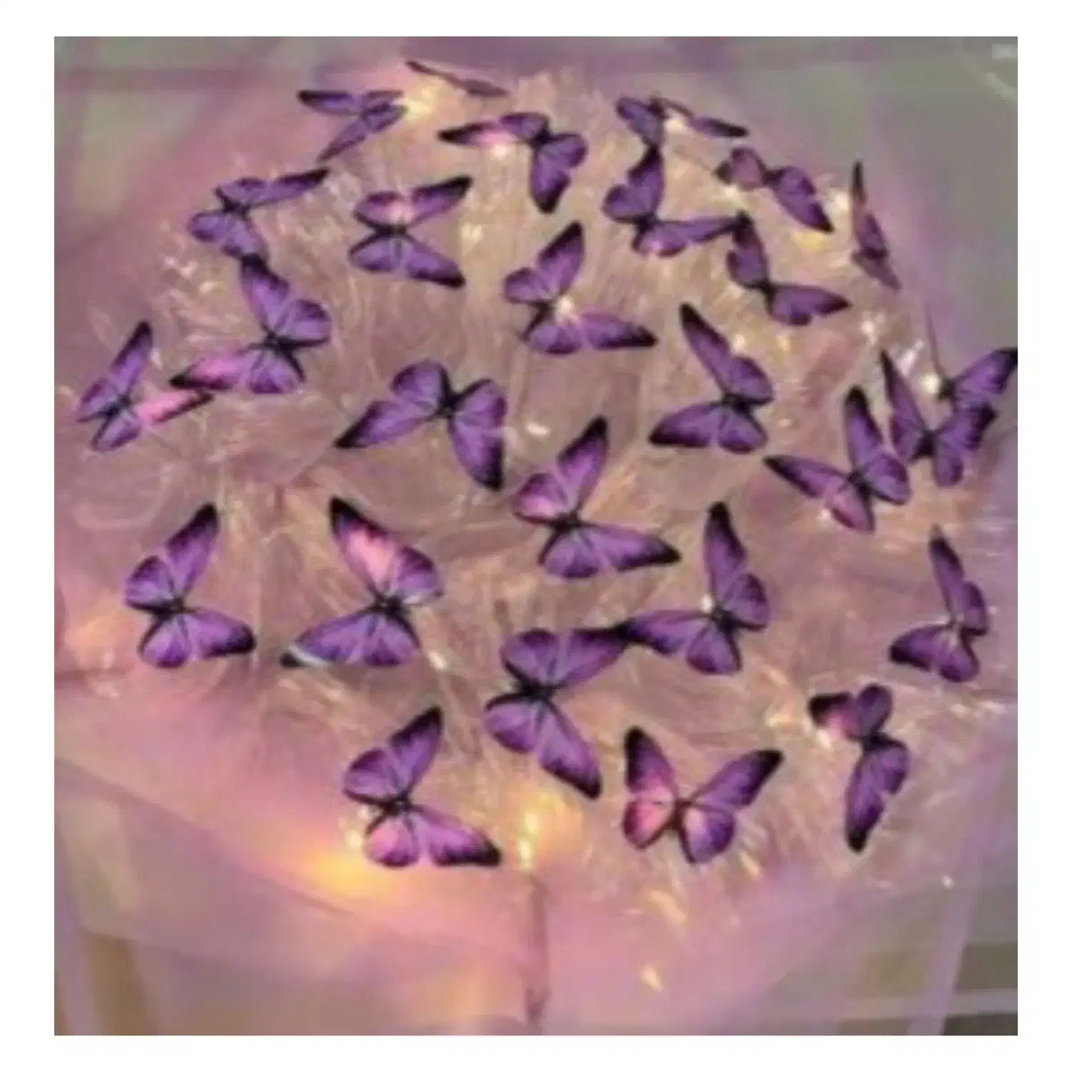 دسته گل پروانه ای|گل مصنوعی|مرودشت, ژیان|دیوار