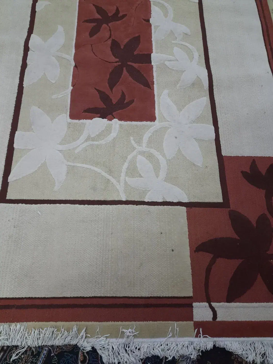 یک فرش ۶ متری و یک عدد کناره زرشکی|فرش|قم, انسجام|دیوار