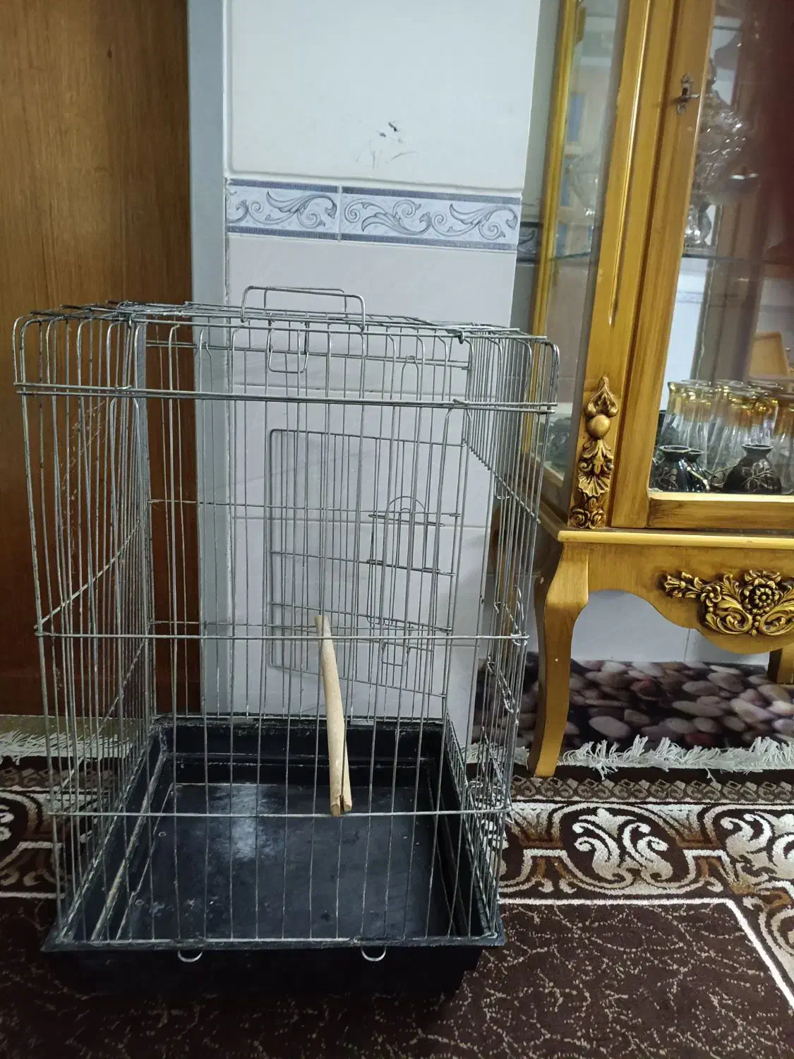 قفس پرنده|لوازم جانبی حیوانات|مرودشت, ابوذر جنوبی|دیوار