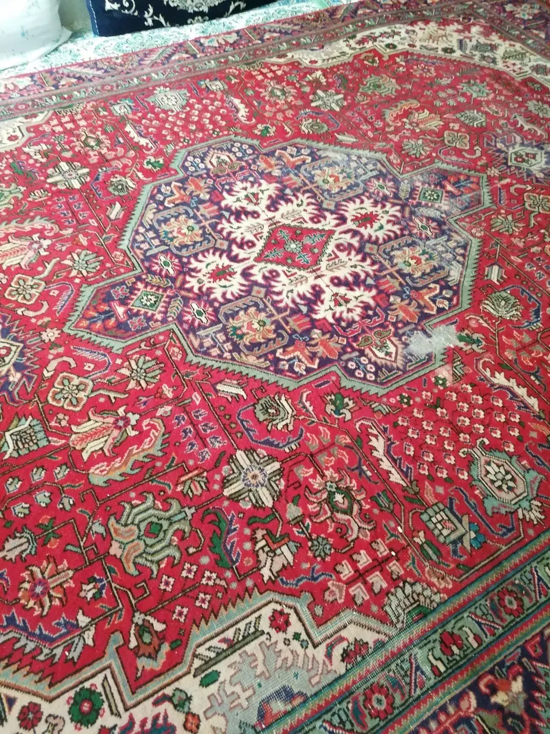 فرش دستباف|فرش|شیراز, مسلم|دیوار