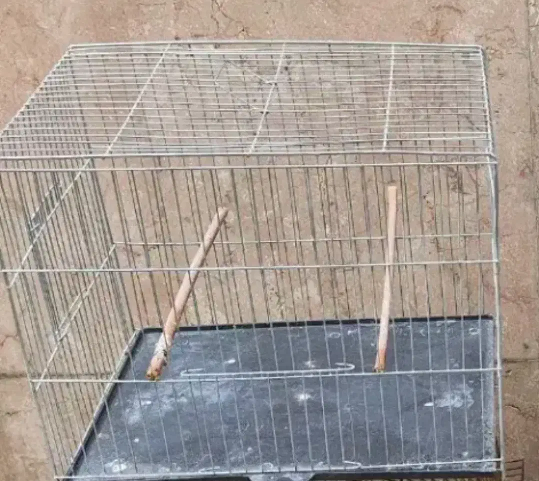 قفس ۶۰ سانتی|لوازم جانبی حیوانات|زیرکوه, |دیوار