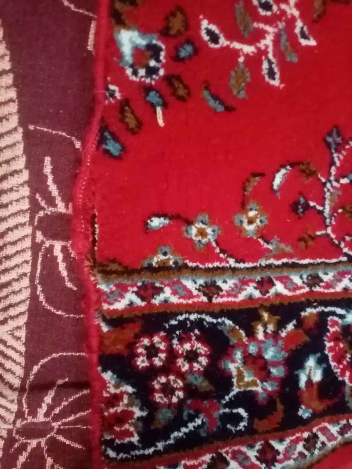 درود، یک تخته کناره فرشی، رنگ لاکی|فرش|شیراز, داریون|دیوار