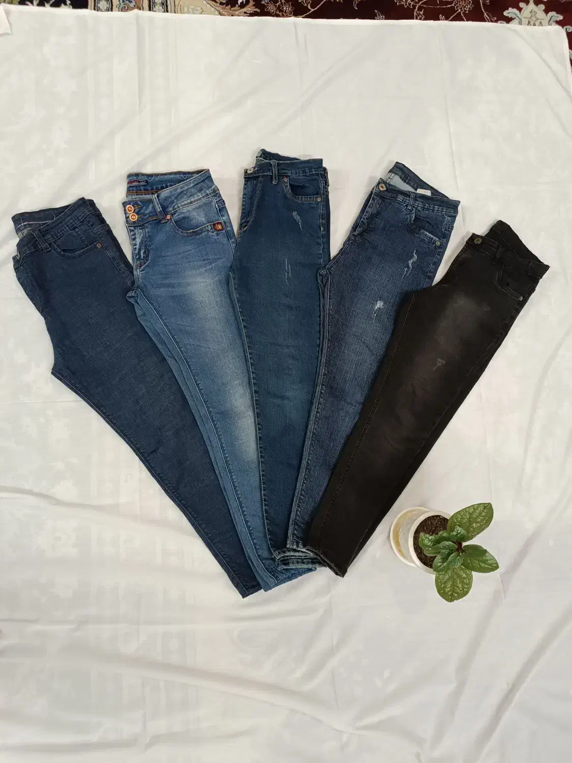 شلوار جین|لباس|تیران, |دیوار