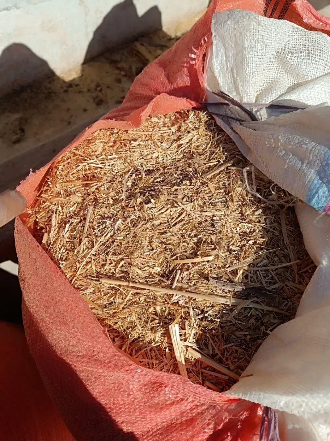 کاه گندم|حیوانات مزرعه|کوار, |دیوار