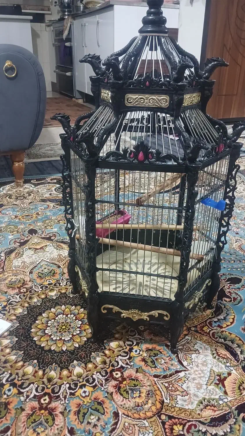 قفس بزرگ عروس هلندی وپرندهای دیگه|لوازم جانبی حیوانات|هشتگرد, قاسم آباد بزرگ|دیوار