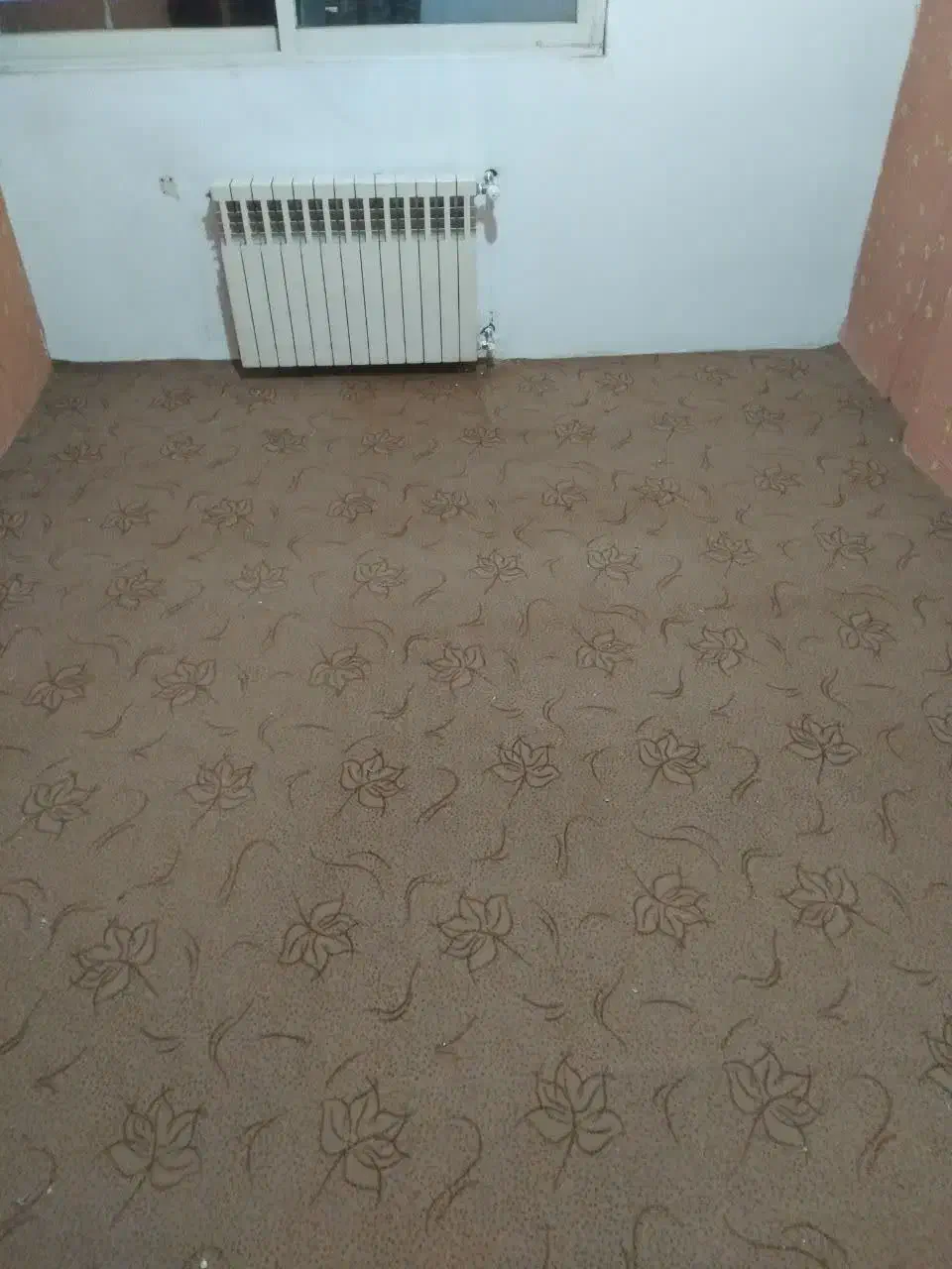 موکت|موکت|مشهد, شریف|دیوار