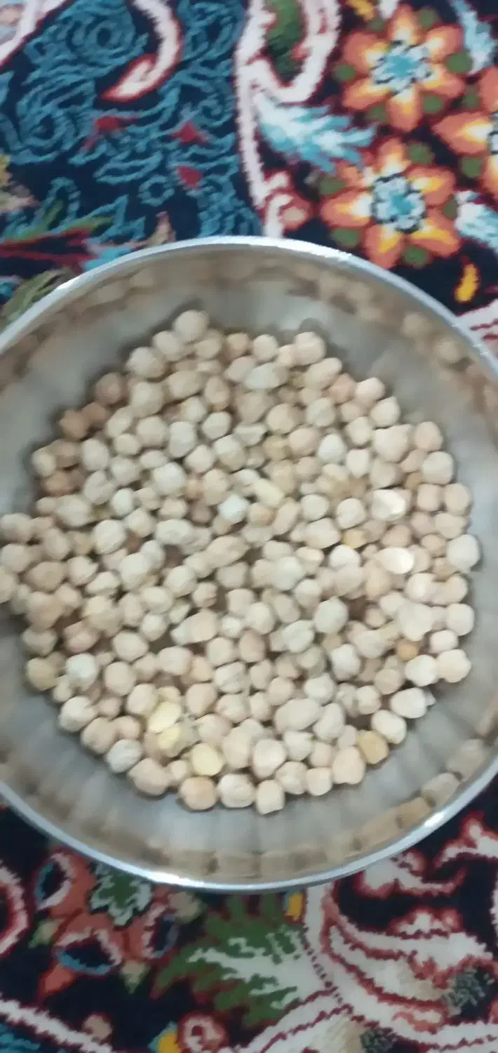 نخود سفید و درشت کشت امسال تمیز|خوردنی و آشامیدنی|خرمآباد, |دیوار