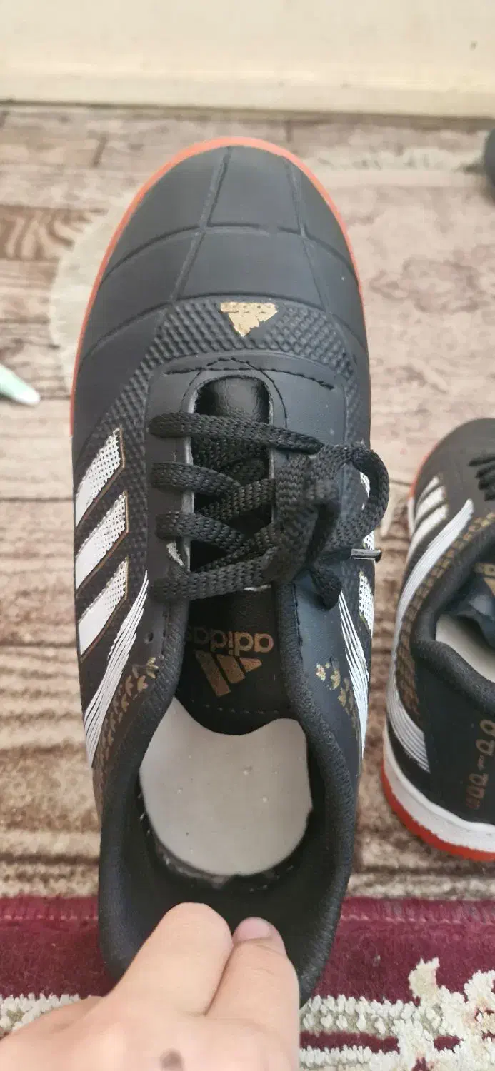 کفش سالنی|کیف، کفش، کمربند|شهرضا, |دیوار