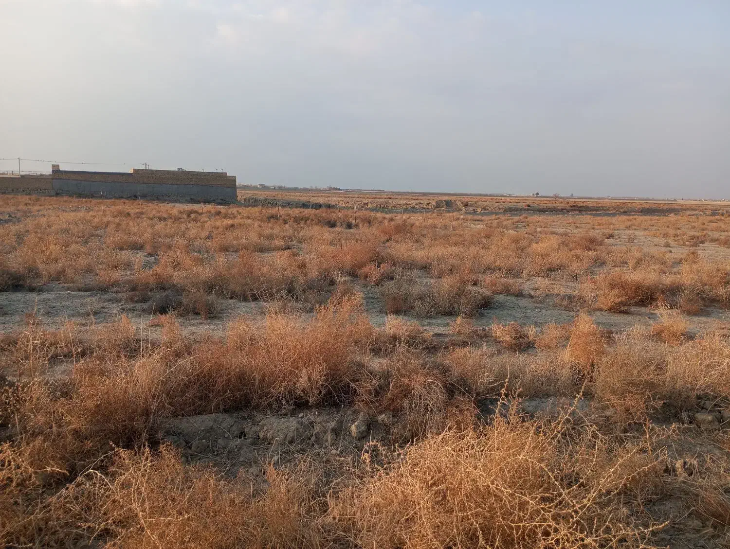 1000 متر زمین اجاره داده میشود|اجارهٔ دفتر صنعتی، کشاورزی، تجاری|گلبهار, شهر جدید گلبهار|دیوار