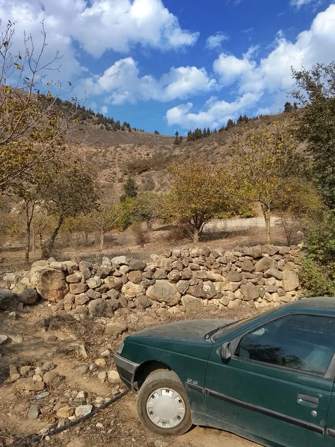 فروش زمین کشاورزی به شرط ساخت|فروش زمین و ملک کلنگی|ایزدخواست, |دیوار