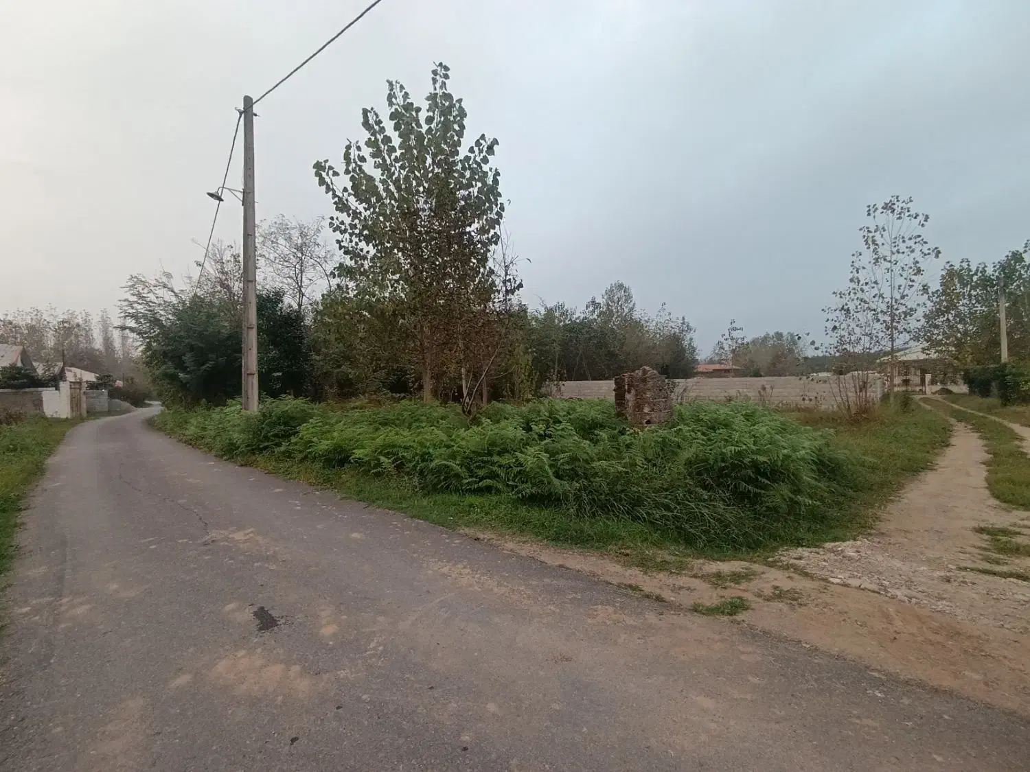 زمین 250 متری کاملا مسکونی|فروش زمین و ملک کلنگی|طاهرگوراب, |دیوار