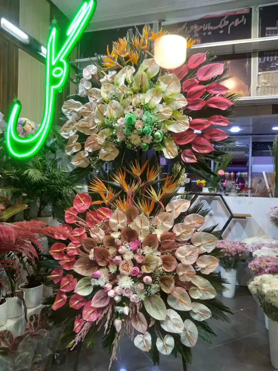 تاج گل|گل و گیاه طبیعی|تهران, شمشیری|دیوار