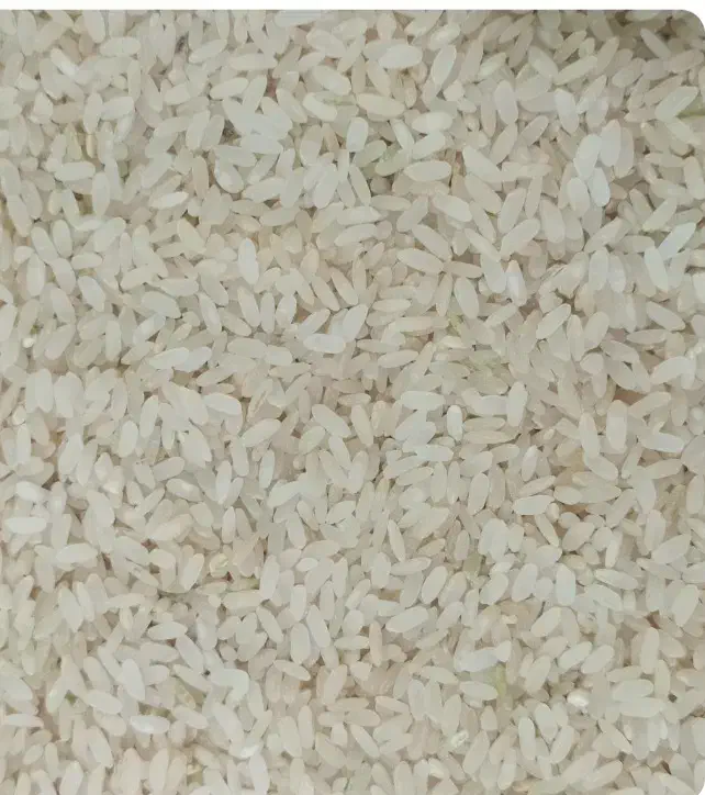 برنج کامفیروزی اصل|خوردنی و آشامیدنی|کر, |دیوار