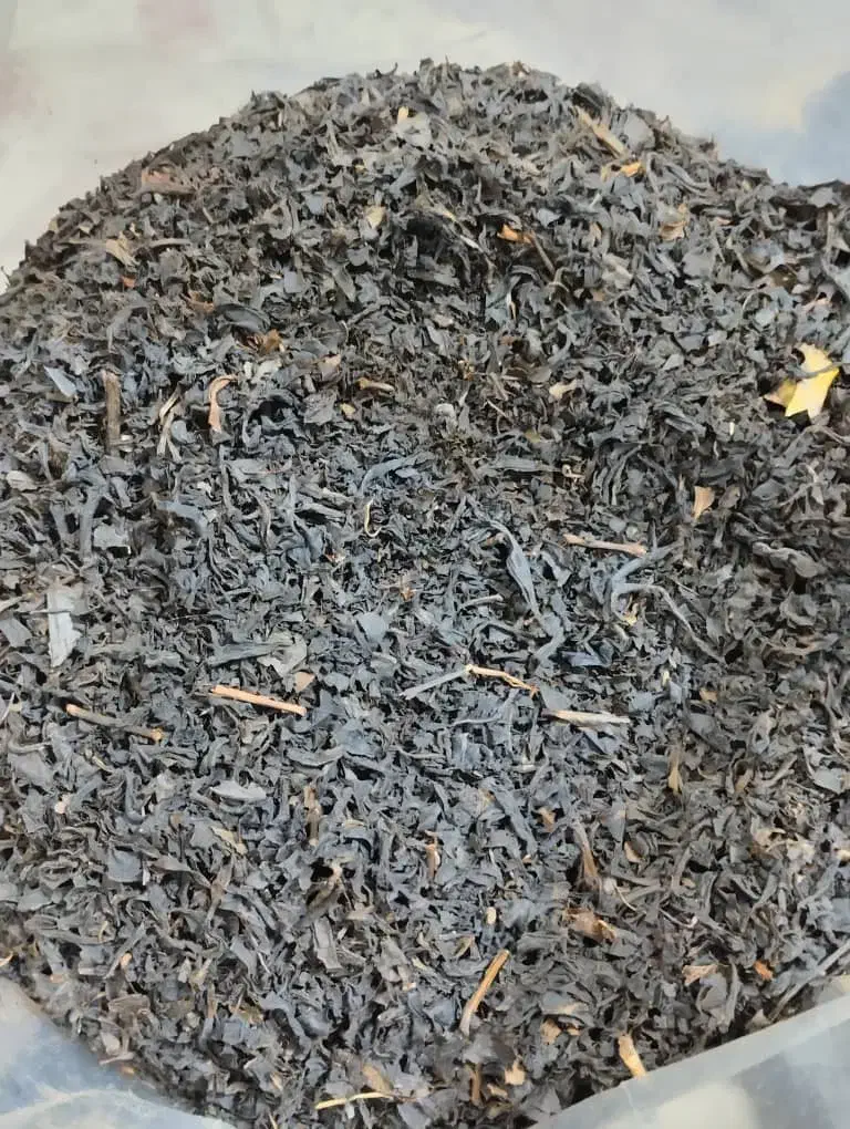 چای دستی ۱۴۰۴ لاهیجان|خوردنی و آشامیدنی|اصفهان, سرشبادران|دیوار