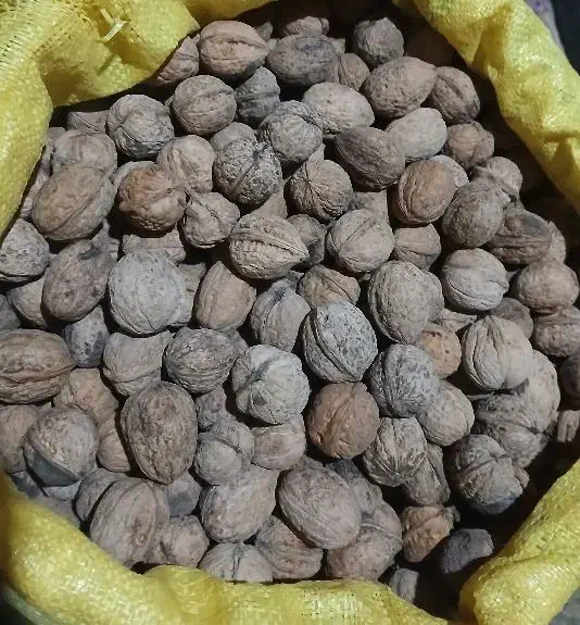 گردو|خوردنی و آشامیدنی|آمل, |دیوار