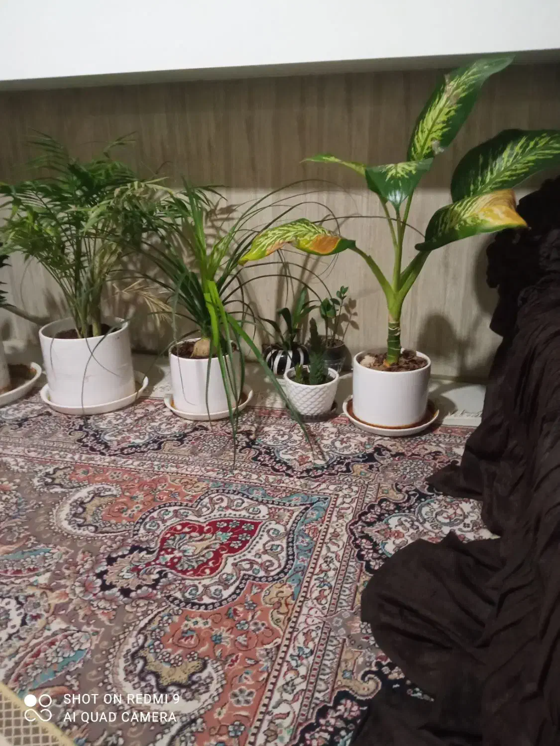 منزل دوخوابه همکف 170متری رهن کامل|اجارهٔ خانه و ویلا|شیراز, کوشک میدان|دیوار