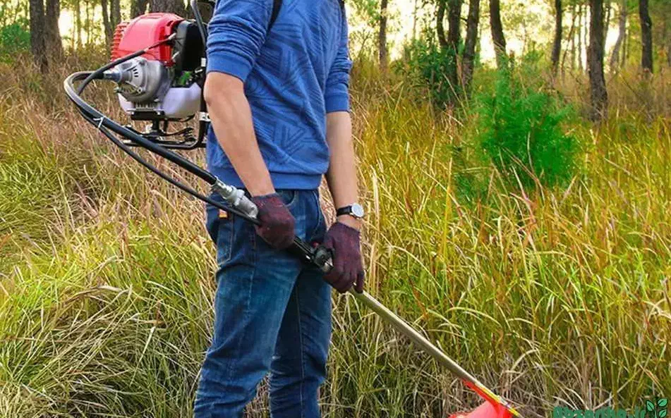 علف تراشی تخصصی باغ و حیاط منزل|خدمات باغبانی و درختکاری|لاهیجان, قیام|دیوار