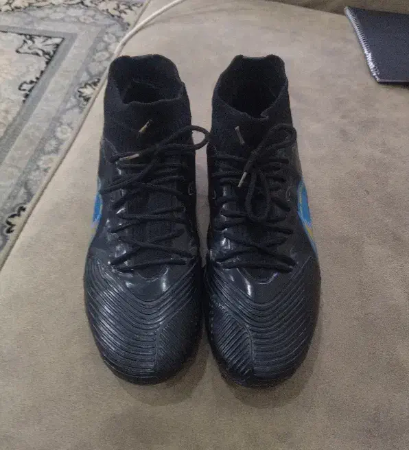 کفش چمن|کیف، کفش، کمربند|کرمان, |دیوار