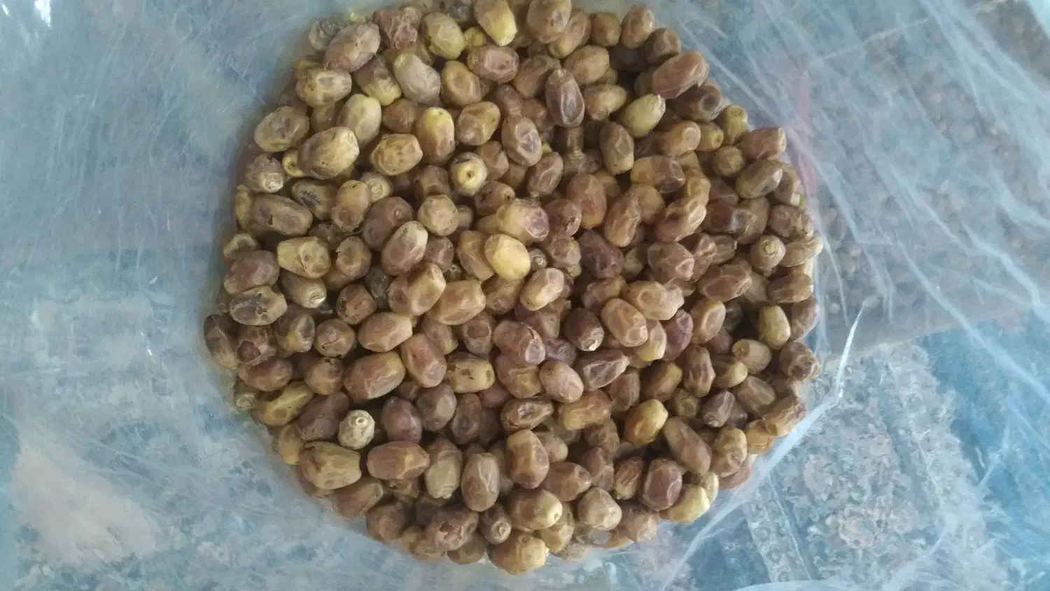 زاهدی رسید|خوردنی و آشامیدنی|هندمینی, |دیوار