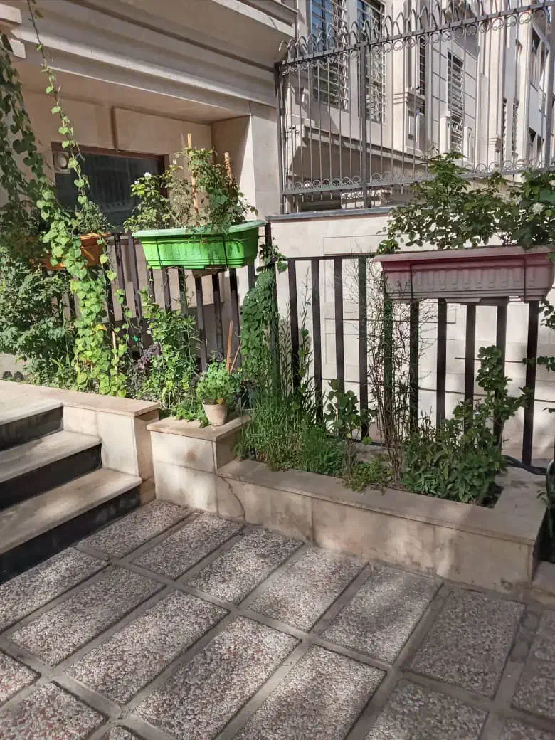 ۴۸۰ متر کلنگی مشارکت در ساخت / سازمان برنامه|مشارکت در ساخت املاک|تهران, سازمان برنامه شمالی|دیوار