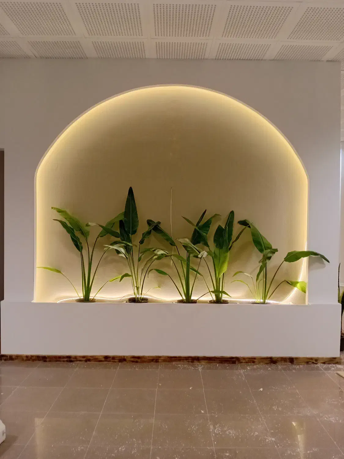 نیازمند اشپز صبحانه در کافه|استخدام خدمات فروشگاه و رستوران|نوشهر, |دیوار