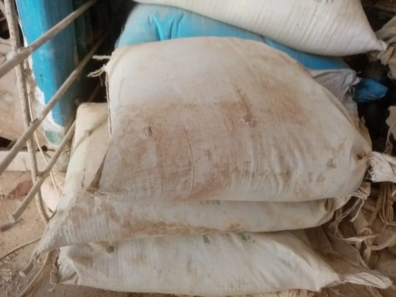 کود سیاه|گل و گیاه طبیعی|زهک, |دیوار