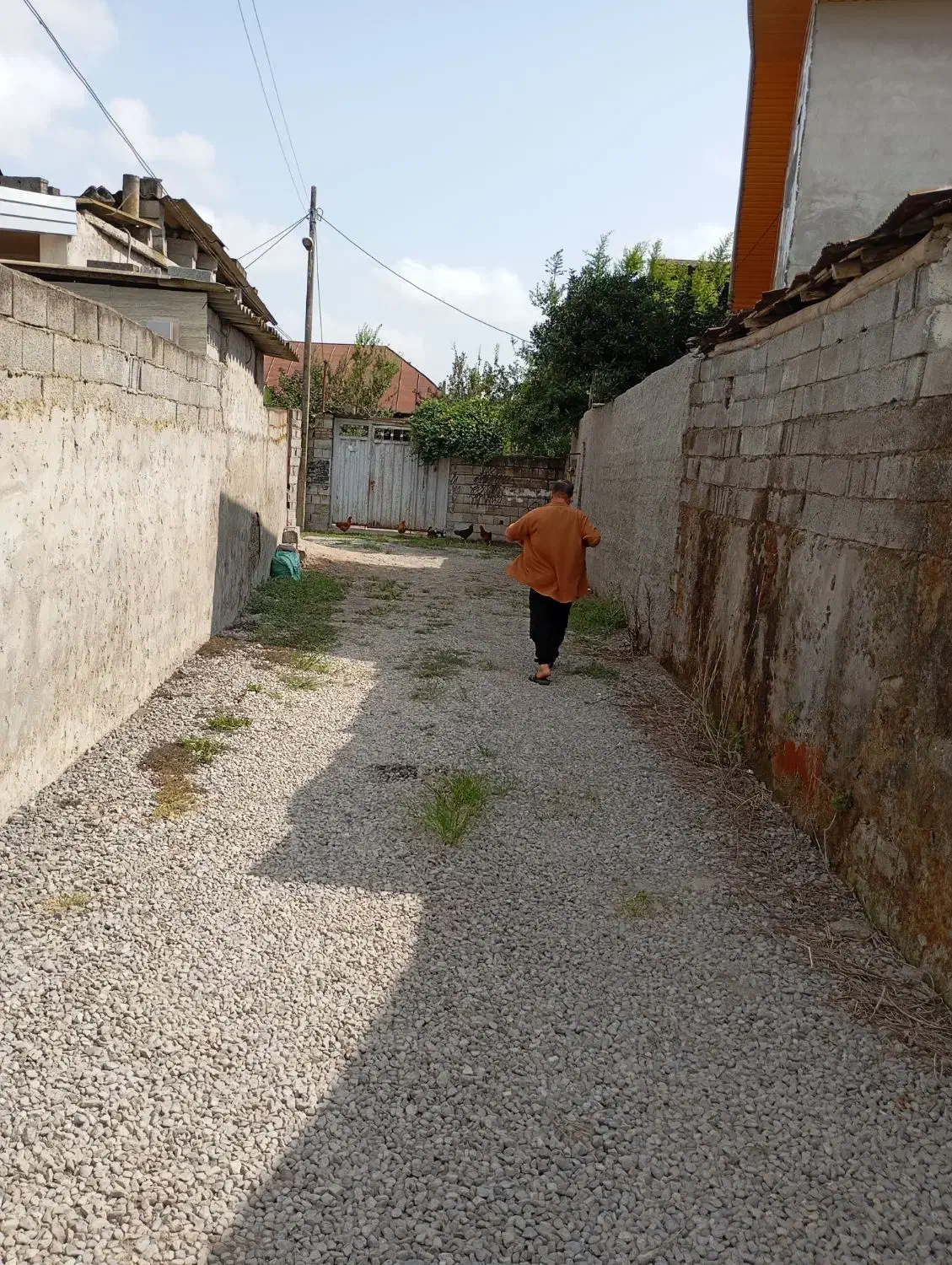 خونه باغ با بنای قدیمی۶۰۰متری|فروش خانه و ویلا|دابودشت, |دیوار