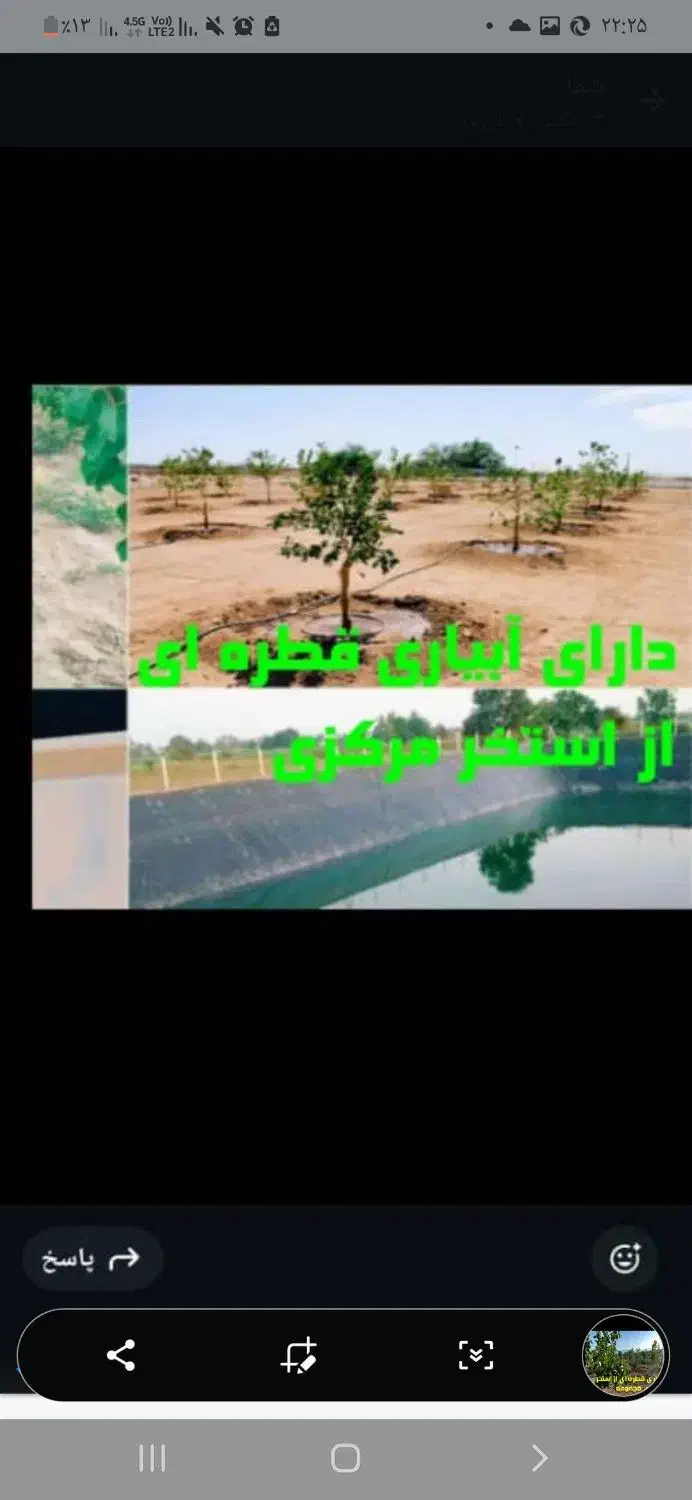 فروش زمین باغ دارای استخر و اصطبل اسب|فروش زمین و ملک کلنگی|مسجد سلیمان, |دیوار
