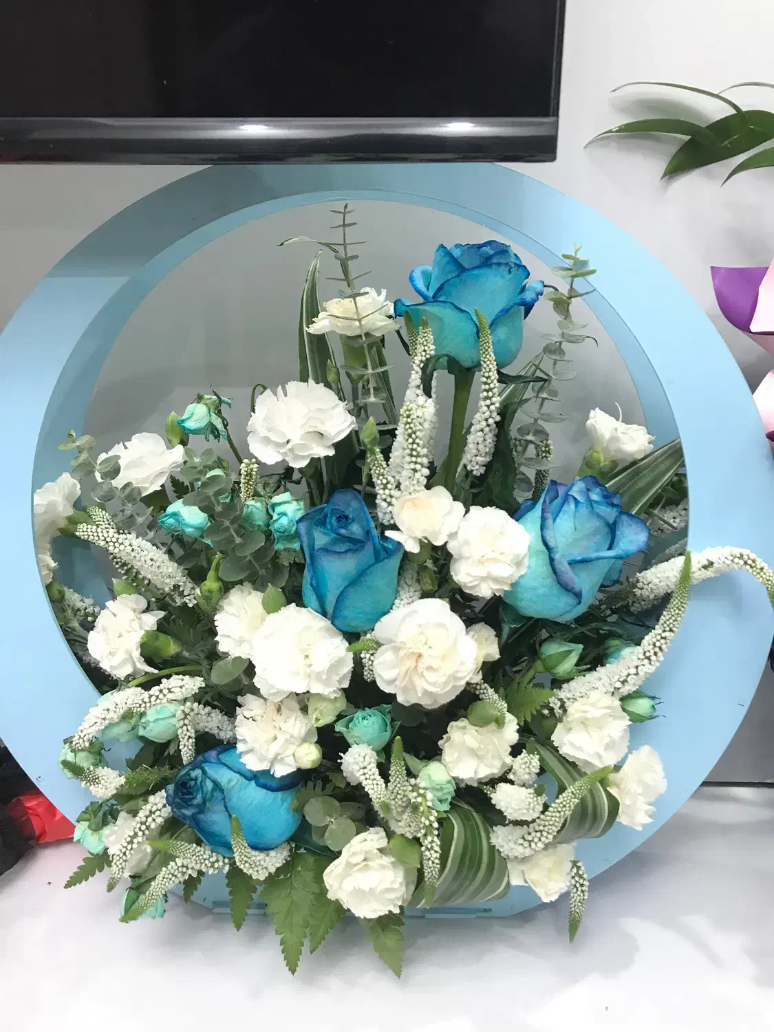 فروشگل دست دوم خارجی|گل و گیاه طبیعی|تهران, منیریه|دیوار