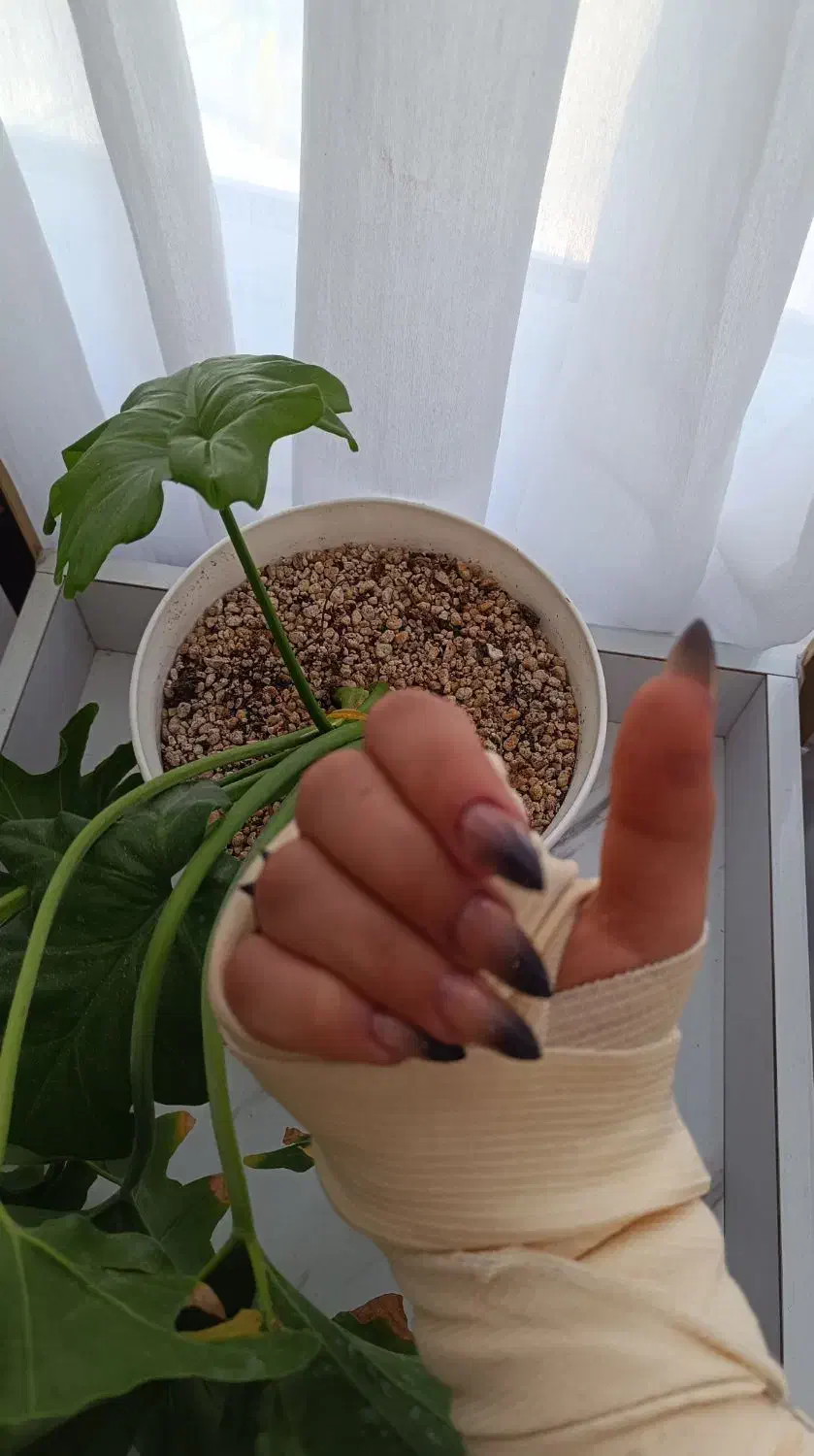 کاشت ناخن|خدمات آرایشگری و زیبایی|بم, |دیوار