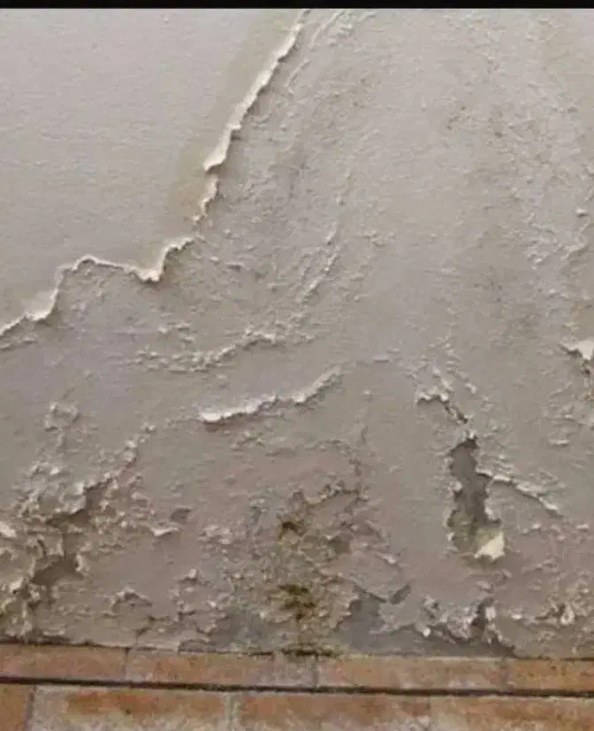 گچ کاری ورفع نم ،رطوبت ،شوره|خدمات پیشه و مهارت|سمنان, |دیوار