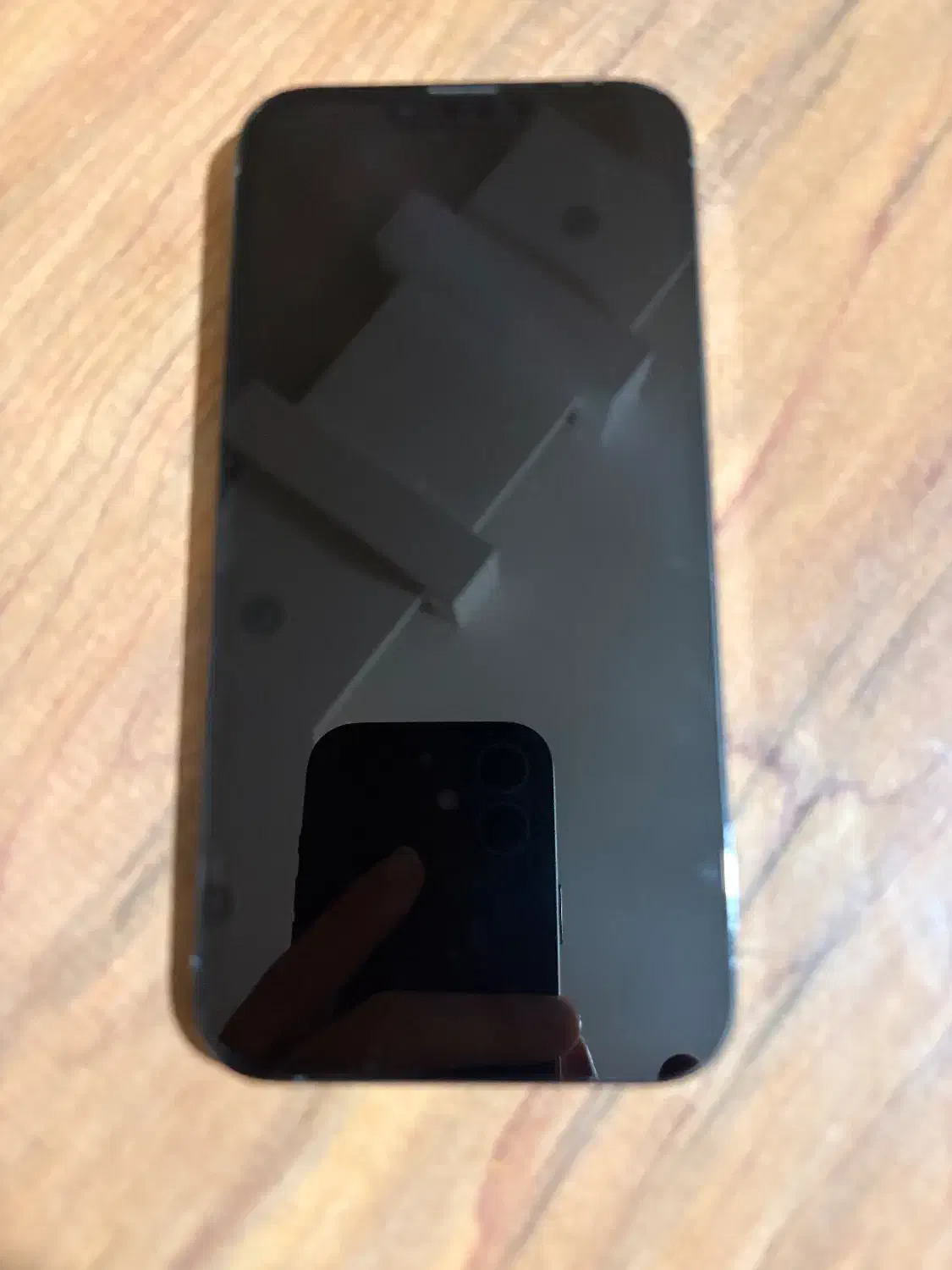 ایفون ۱۳ پرومکس Iphone 13 promax 256|موبایل|رشت, شهریاران|دیوار