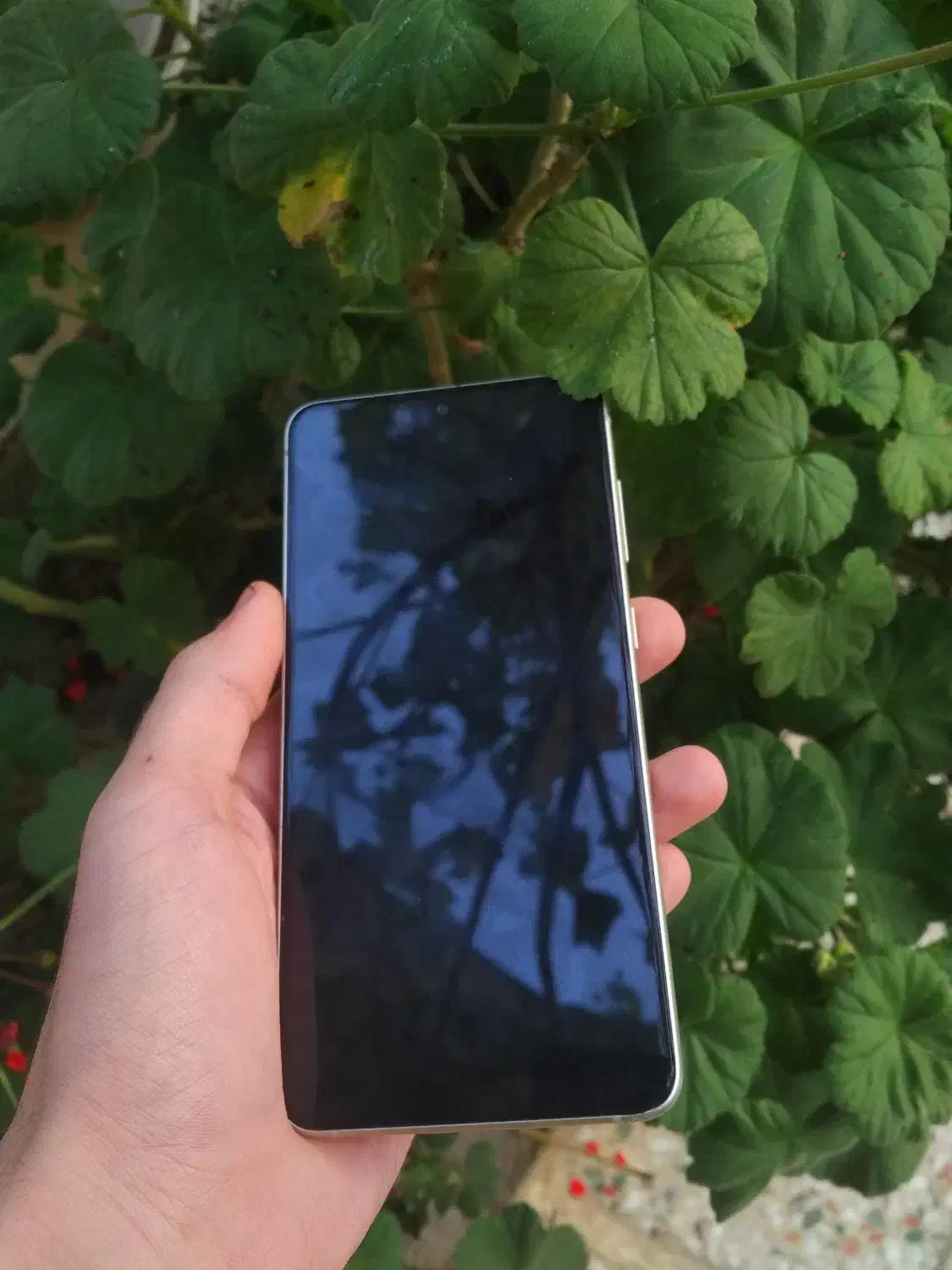 s21fe 5g زیر قیمت بازار ۳ ماه کارکرد|موبایل|رشت, معلم|دیوار