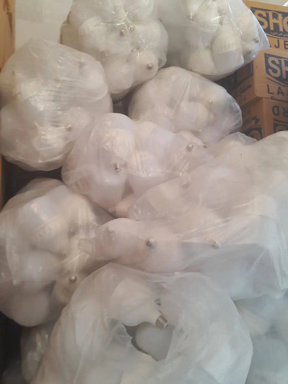 فرصتی برای تو|لامپ و چراغ|کرمان, |دیوار