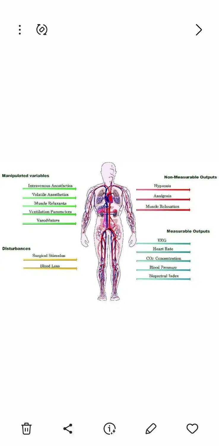 حجامت و طب سنتی در مطب پزشک|خدمات آرایشگری و زیبایی|اصفهان, مهدی آباد|دیوار