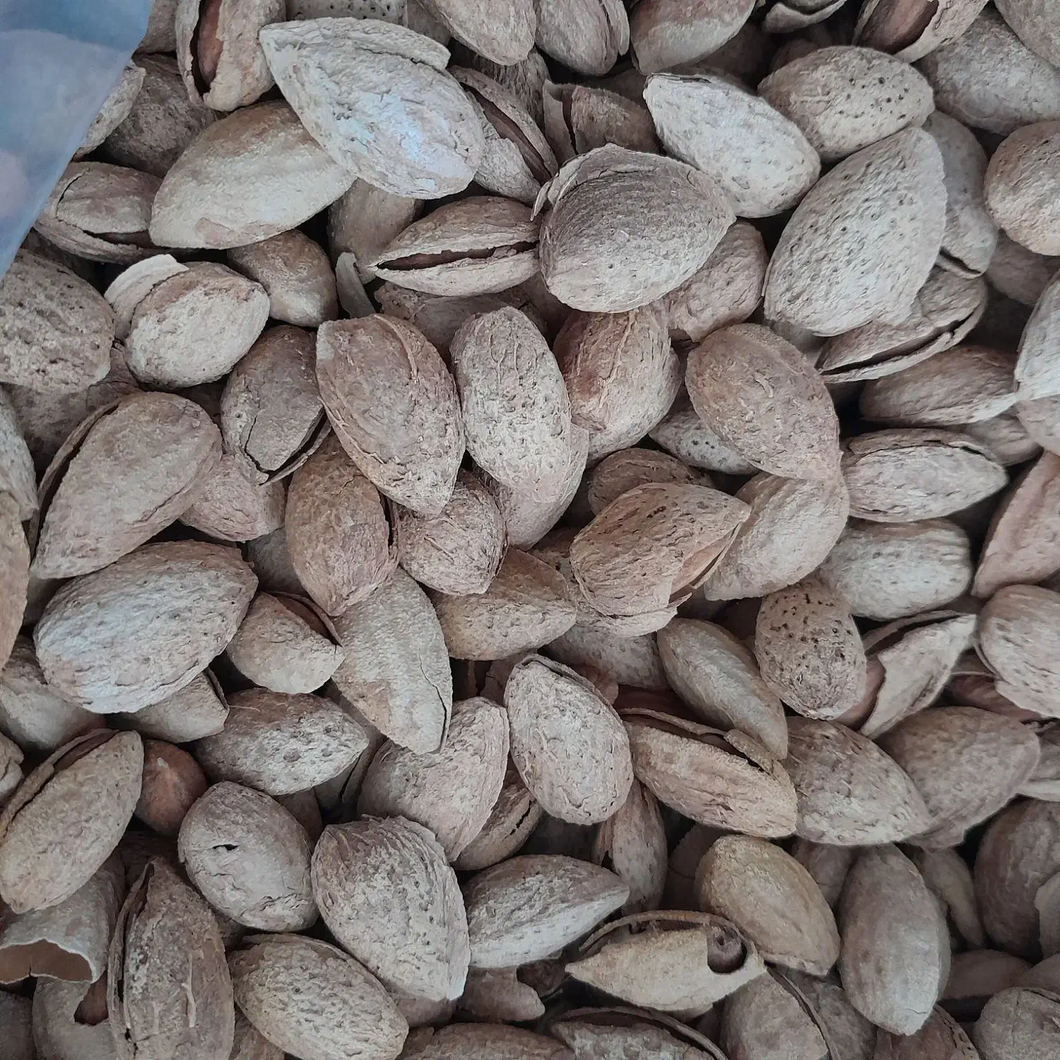 بادام منقا زرین|خوردنی و آشامیدنی|مشگین شهر, |دیوار