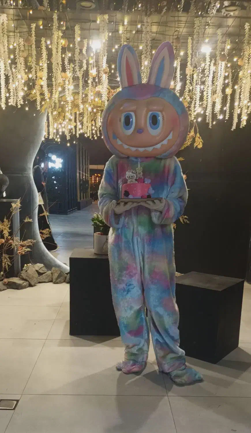 سوپرایز تولد تنپوش عروسکی|خدمات پذیرایی، مراسم|مشهد, دانشجو|دیوار