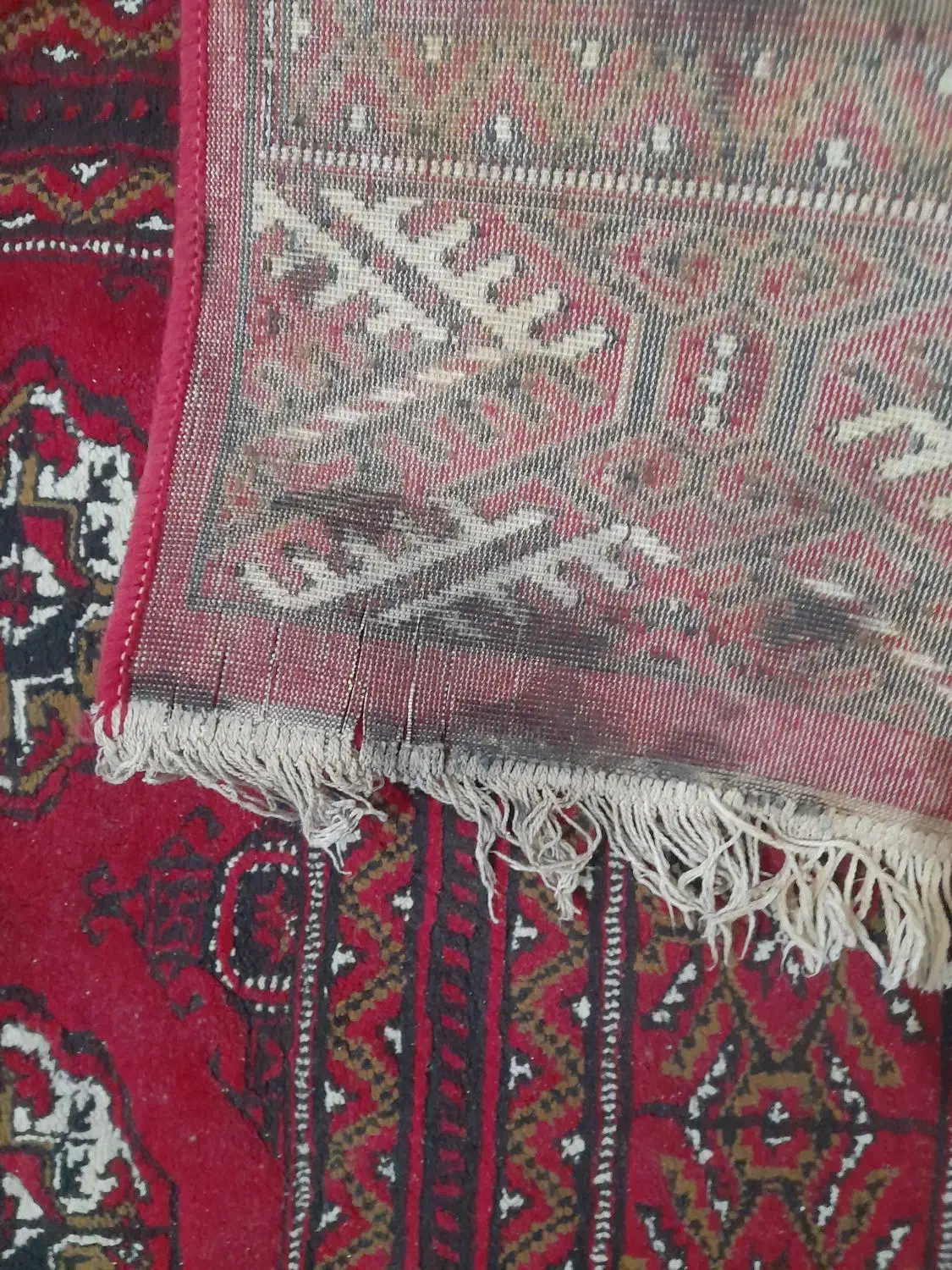 فرش 9 متری|فرش|گرگان, |دیوار