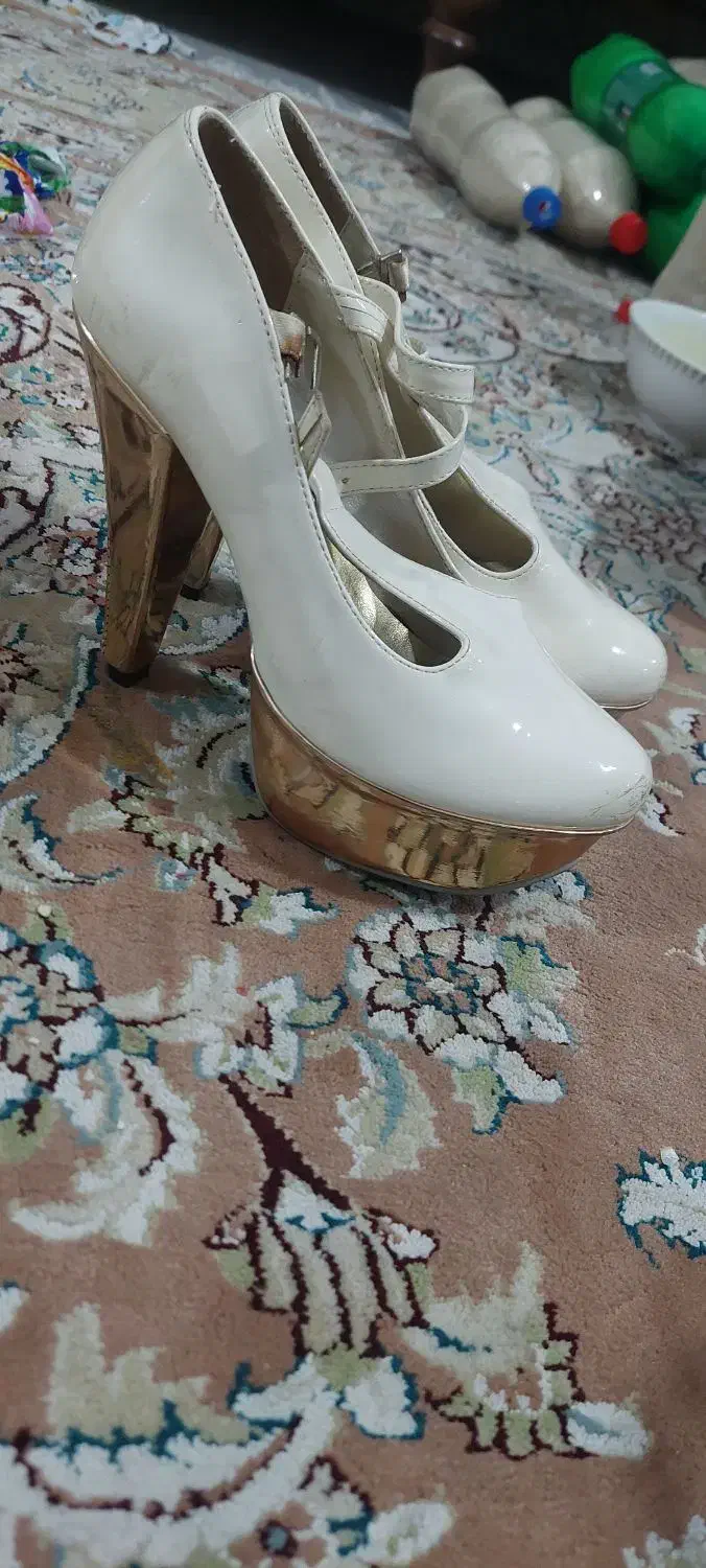 کیف و کفش|کیف، کفش، کمربند|قائمشهر, |دیوار