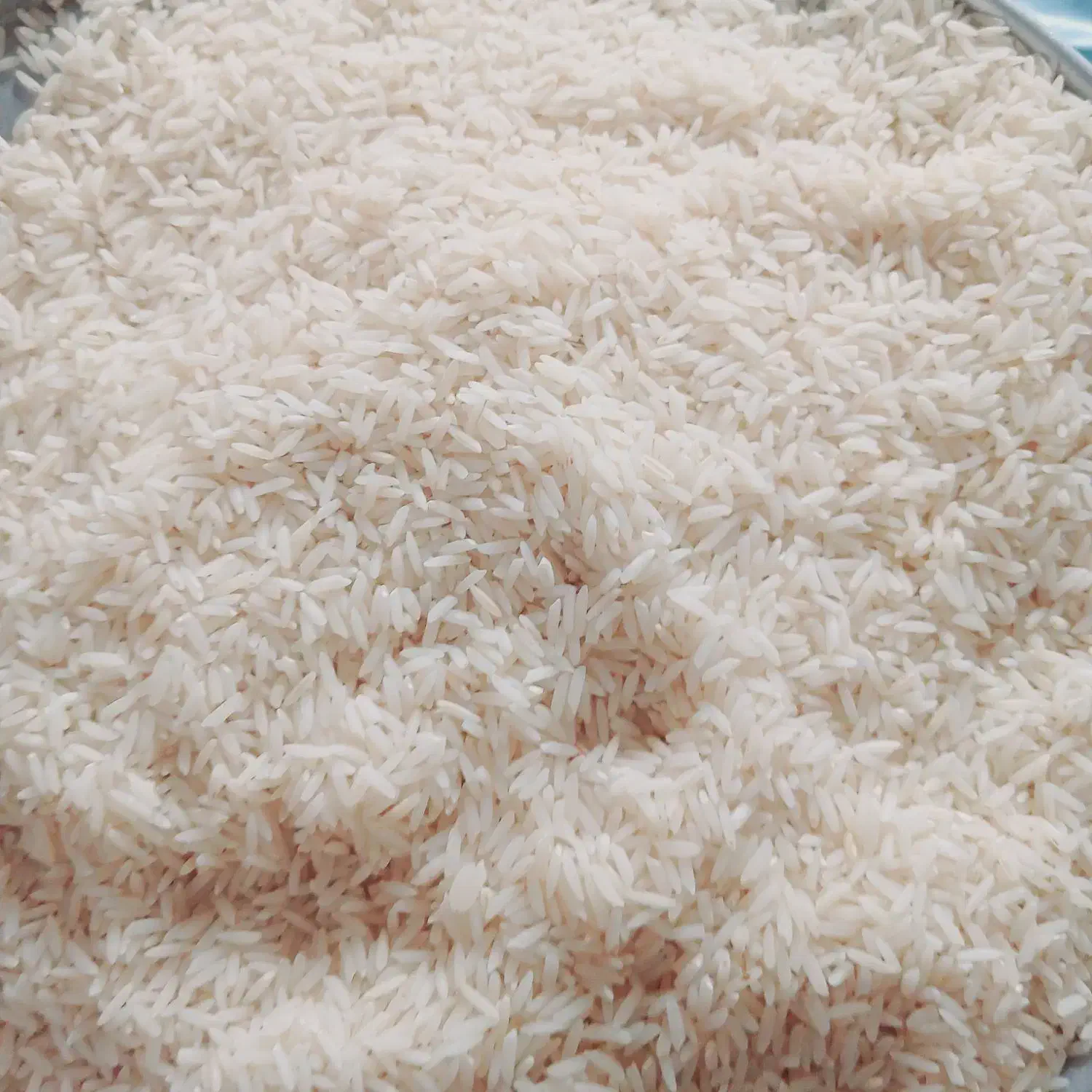 برنج هاشمی|خوردنی و آشامیدنی|رشت, آتشگاه|دیوار