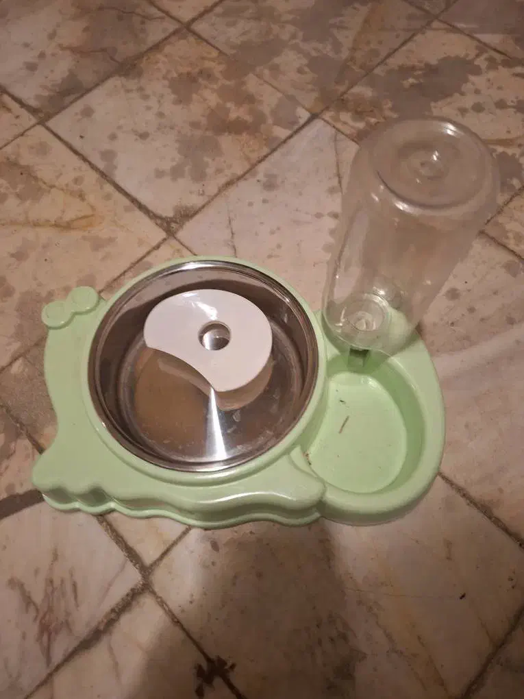 ظرف آب و غذای گربه|لوازم جانبی حیوانات|تهران, شهرک مخابرات|دیوار