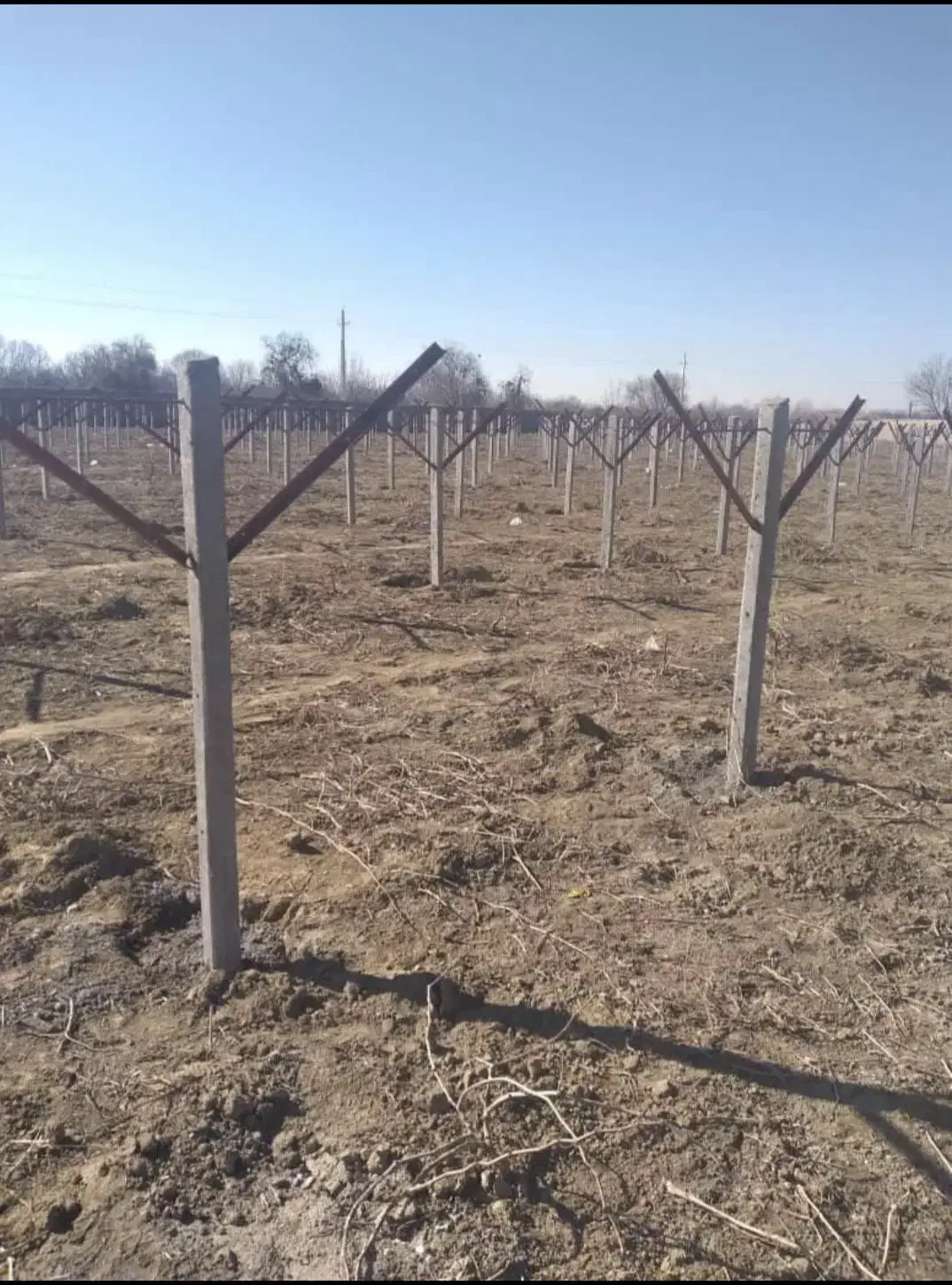 پایه بتنی 98تمن باضمانت نامه همراه بار|عمدهفروشی|تربتحیدریه, رضاشهر|دیوار